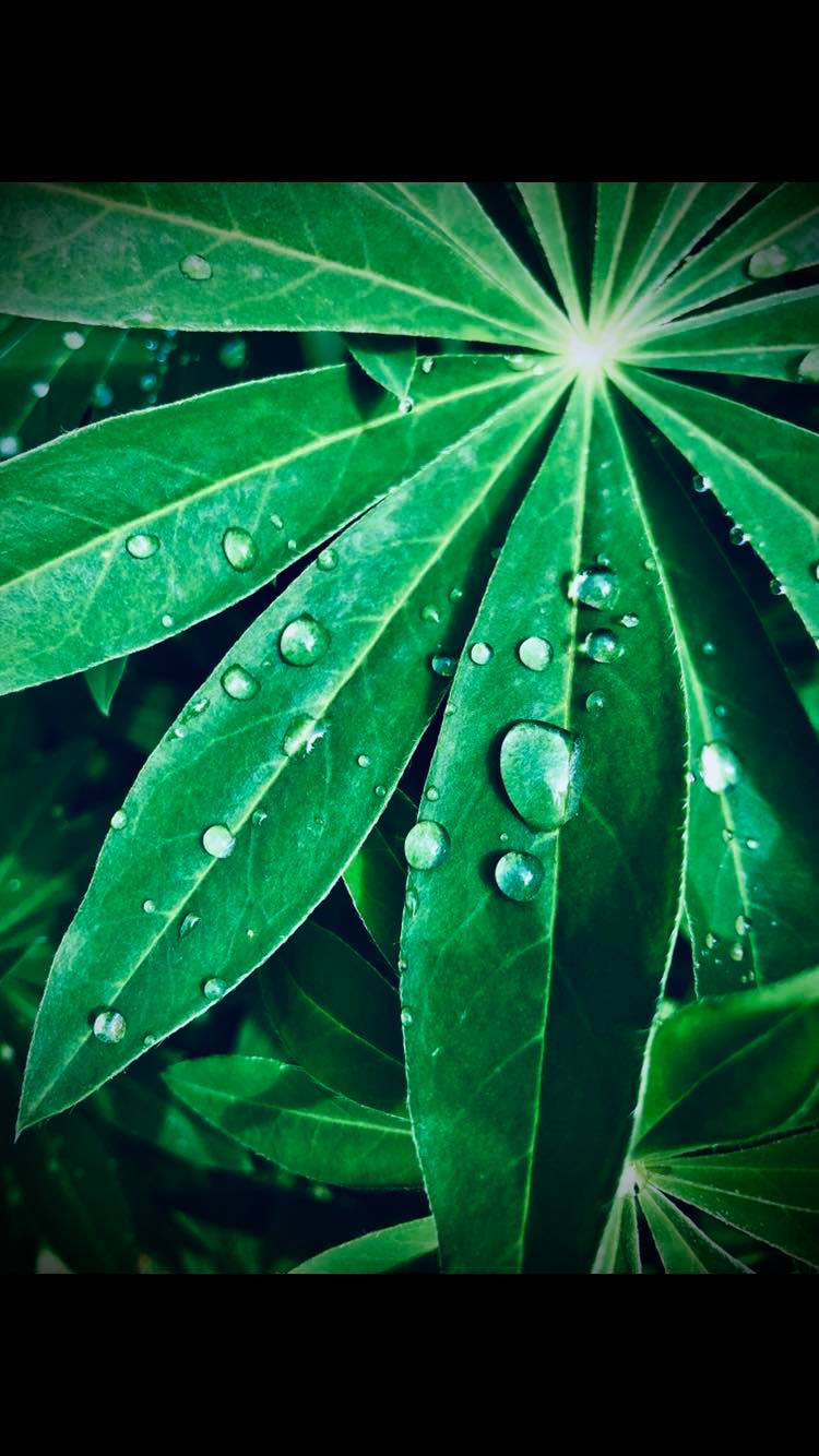 EDYCJA WRZEŚNIOWEGO KONKURSU FOTOGRAFICZNEGO